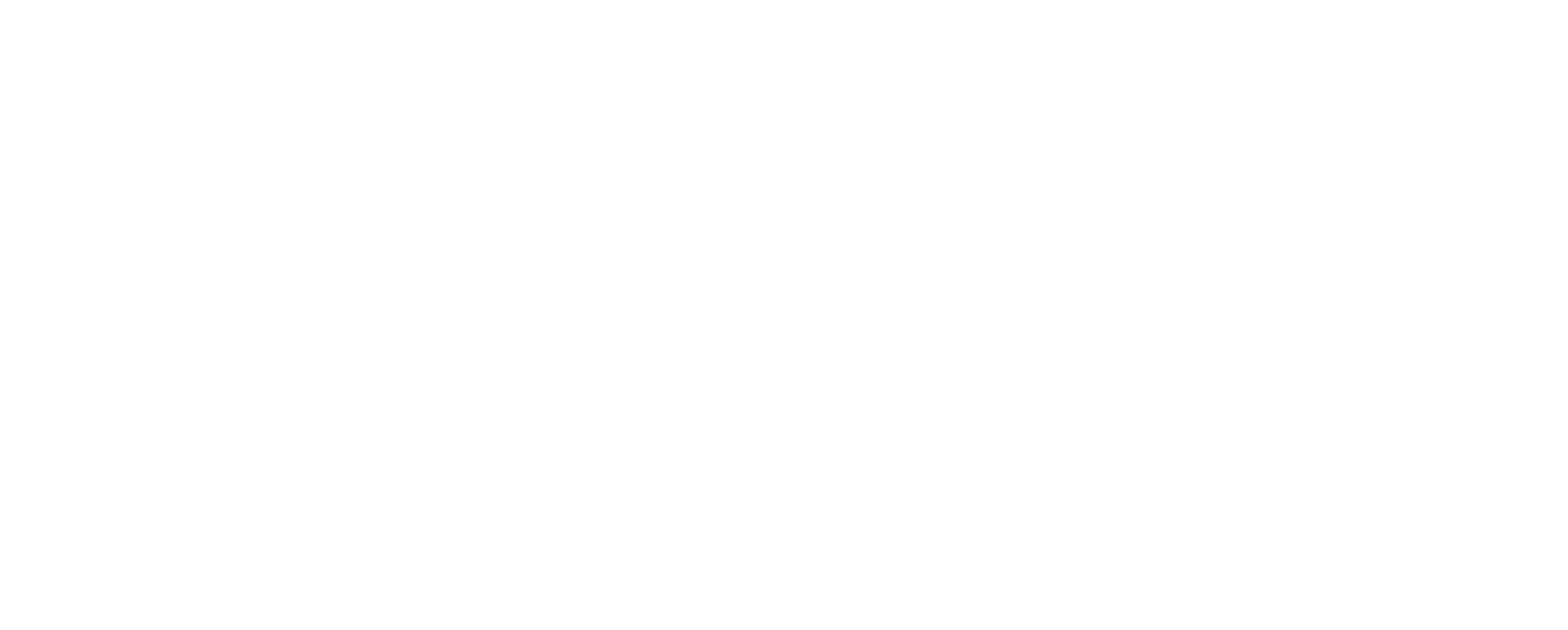 lepur logo